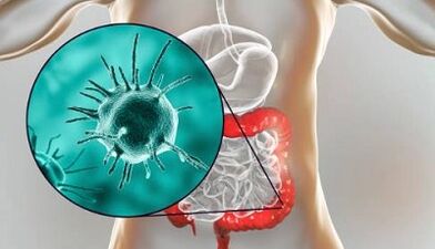 what tests to take for the presence of parasites