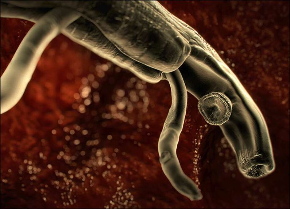 parasites inside the human body